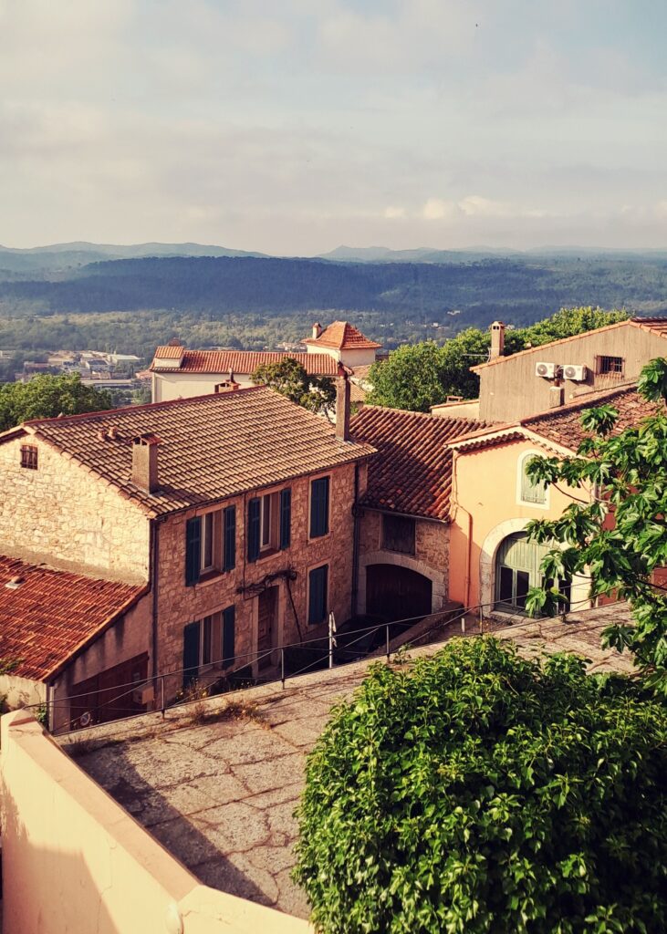 Golden Provence